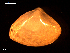  ( - MT09107)  @11 [ ] CreativeCommons - Attribution Non-Commercial Share-Alike (2015) Unspecified Deutsche Zentrum fuer Marine Biodiversitaetsforschung Wilhelmshaven