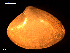  ( - MT09108)  @11 [ ] CreativeCommons - Attribution Non-Commercial Share-Alike (2015) Unspecified Deutsche Zentrum fuer Marine Biodiversitaetsforschung Wilhelmshaven