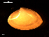  ( - MT09111)  @11 [ ] CreativeCommons - Attribution Non-Commercial Share-Alike (2015) Unspecified Deutsche Zentrum fuer Marine Biodiversitaetsforschung Wilhelmshaven