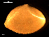  ( - MT09159)  @13 [ ] CreativeCommons - Attribution Non-Commercial Share-Alike (2015) Unspecified Deutsche Zentrum fuer Marine Biodiversitaetsforschung Wilhelmshaven