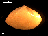  ( - MT09182)  @11 [ ] CreativeCommons - Attribution Non-Commercial Share-Alike (2015) Unspecified Deutsche Zentrum fuer Marine Biodiversitaetsforschung Wilhelmshaven