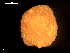  ( - MT09347)  @11 [ ] CreativeCommons - Attribution Non-Commercial Share-Alike (2015) Unspecified Deutsche Zentrum fuer Marine Biodiversitaetsforschung Wilhelmshaven