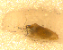 ( - BNB2-00226)  @12 [ ] CreativeCommons - Attribution (2010) Unspecified Centre for Biodiversity Genomics