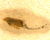  ( - BNB2-00227)  @12 [ ] CreativeCommons - Attribution (2010) Unspecified Centre for Biodiversity Genomics