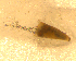  ( - BNB2-00228)  @12 [ ] CreativeCommons - Attribution (2010) Unspecified Centre for Biodiversity Genomics