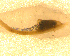  ( - BNB2-00230)  @12 [ ] CreativeCommons - Attribution (2010) Unspecified Centre for Biodiversity Genomics