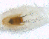  ( - BNB2-00327)  @12 [ ] CreativeCommons - Attribution (2010) Unspecified Centre for Biodiversity Genomics