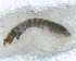  ( - BNB2-00328)  @12 [ ] CreativeCommons - Attribution (2010) Unspecified Centre for Biodiversity Genomics