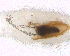  ( - BNB2-00379)  @12 [ ] CreativeCommons - Attribution (2010) Unspecified Centre for Biodiversity Genomics
