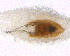  ( - BNB2-00380)  @12 [ ] CreativeCommons - Attribution (2010) Unspecified Centre for Biodiversity Genomics