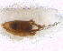  ( - BNB2-00382)  @12 [ ] CreativeCommons - Attribution (2010) Unspecified Centre for Biodiversity Genomics