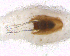  ( - BNB2-00383)  @12 [ ] CreativeCommons - Attribution (2010) Unspecified Centre for Biodiversity Genomics