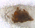  ( - BNB2-00401)  @12 [ ] CreativeCommons - Attribution (2010) Unspecified Centre for Biodiversity Genomics