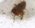  ( - BNB2-00402)  @12 [ ] CreativeCommons - Attribution (2010) Unspecified Centre for Biodiversity Genomics