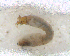  ( - BNB2-00408)  @12 [ ] CreativeCommons - Attribution (2010) Unspecified Centre for Biodiversity Genomics