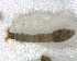  ( - BNB2-00425)  @12 [ ] CreativeCommons - Attribution (2010) Unspecified Centre for Biodiversity Genomics