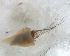  ( - BNB2-00470)  @12 [ ] CreativeCommons - Attribution (2010) Unspecified Centre for Biodiversity Genomics