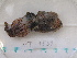  ( - MT04839)  @13 [ ] Copyright (2013) Unspecified Deutsches Zentrum fuer Marine Biodiversitaetsforschung