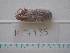  ( - MT04935)  @12 [ ] Copyright (2013) Unspecified Deutsches Zentrum fuer Marine Biodiversitaetsforschung