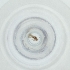  ( - MOZZ00000887A_D3)  @11 [ ] by  Genome Research Ltd as Wellcome Sanger Institute Genome Research Limited operating as Wellcome Sanger Institute