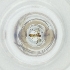 ( - MOZZ00000889A_A9)  @11 [ ] by  Genome Research Ltd as Wellcome Sanger Institute Genome Research Limited operating as Wellcome Sanger Institute