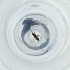  ( - MOZZ00000889A_G12)  @11 [ ] by  Genome Research Ltd as Wellcome Sanger Institute Genome Research Limited operating as Wellcome Sanger Institute