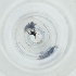  ( - MOZZ00000890A_E8)  @11 [ ] by  Genome Research Ltd as Wellcome Sanger Institute Genome Research Limited operating as Wellcome Sanger Institute