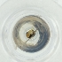  ( - MOZZ00000892A_D1)  @11 [ ] by  Genome Research Ltd as Wellcome Sanger Institute Genome Research Limited operating as Wellcome Sanger Institute
