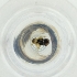  ( - MOZZ00000892A_D2)  @11 [ ] by  Genome Research Ltd as Wellcome Sanger Institute Genome Research Limited operating as Wellcome Sanger Institute