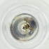  ( - MOZZ00000892A_E2)  @11 [ ] by  Genome Research Ltd as Wellcome Sanger Institute Genome Research Limited operating as Wellcome Sanger Institute