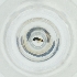  ( - MOZZ00000894A_E8)  @11 [ ] by  Genome Research Ltd as Wellcome Sanger Institute Genome Research Limited operating as Wellcome Sanger Institute