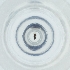  ( - MOZZ00000894A_F8)  @11 [ ] by  Genome Research Ltd as Wellcome Sanger Institute Genome Research Limited operating as Wellcome Sanger Institute