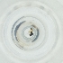 ( - MOZZ00000895A_F3)  @11 [ ] by  Genome Research Ltd as Wellcome Sanger Institute Genome Research Limited operating as Wellcome Sanger Institute
