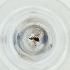  ( - MOZZ00000898A_B2)  @11 [ ] by  Genome Research Ltd as Wellcome Sanger Institute Genome Research Limited operating as Wellcome Sanger Institute
