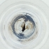  ( - MOZZ00000898A_C2)  @11 [ ] by  Genome Research Ltd as Wellcome Sanger Institute Genome Research Limited operating as Wellcome Sanger Institute