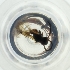  ( - MOZZ00000898A_F8)  @11 [ ] by  Genome Research Ltd as Wellcome Sanger Institute Genome Research Limited operating as Wellcome Sanger Institute