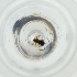  ( - MOZZ00000899A_D6)  @11 [ ] by  Genome Research Ltd as Wellcome Sanger Institute Genome Research Limited operating as Wellcome Sanger Institute