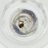  ( - MOZZ00000899A_E12)  @11 [ ] by  Genome Research Ltd as Wellcome Sanger Institute Genome Research Limited operating as Wellcome Sanger Institute