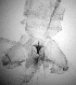  ( - CCDB-17454 -E08)  @11 [ ] CreativeCommons - Attribution Non-Commercial Share-Alike (2012) Andreas Kruger Bernhard-Nocht-Institut