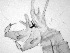  ( - CCDB-17454 -E09)  @11 [ ] CreativeCommons - Attribution Non-Commercial Share-Alike (2012) Andreas Kruger Bernhard-Nocht-Institut