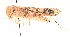  ( - Mov-J28-O10-SS-1)  @11 [ ] by-nc-sa (2021) Jenna Braun York University
