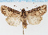  ( - F.93950)  @11 [ ] CreativeCommons  Attribution Non-Commercial Share-Alike (2022) Unspecified University of Oulu