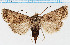  ( - F.94480)  @11 [ ] CreativeCommons  Attribution Non-Commercial Share-Alike (2022) Unspecified University of Oulu