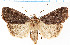  ( - ZMUO.064902)  @11 [ ] CreativeCommons  Attribution Non-Commercial Share-Alike (2022) Unspecified University of Oulu