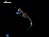  ( - MT02417)  @11 [ ] CreativeCommons - Attribution Non-Commercial Share-Alike (2011) Michael Raupach DZMB / Senckenberg am Meer