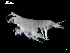  ( - MT03943)  @13 [ ] CreativeCommons - Attribution Non-Commercial Share-Alike (2014) Unspecified Deutsce Zentrum fuer Marine Biodiversitaetsforschung