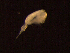  ( - MT03914)  @12 [ ] CreativeCommons - Attribution Non-Commercial Share-Alike (2011) Inga Mohrbeck DZMB