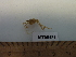  ( - MT05481)  @12 [ ] CreativeCommons - Attribution Non-Commercial Share-Alike (2014) Unspecified Deutsche Zentrum fuer Marine Biodiversitaetforschung
