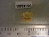  ( - MT08104)  @12 [ ] CreativeCommons - Attribution Non-Commercial Share-Alike (2014) Unspecified Deutsches Zentrum fuer Marine Biodiversitaetsforschung