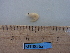  ( - MT08562)  @12 [ ] CreativeCommons - Attribution Non-Commercial Share-Alike (2014) Unspecified Deutsche Zentrum fuer Marine Biodiversitaetforschung